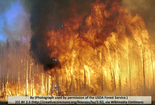 usdaburningforest